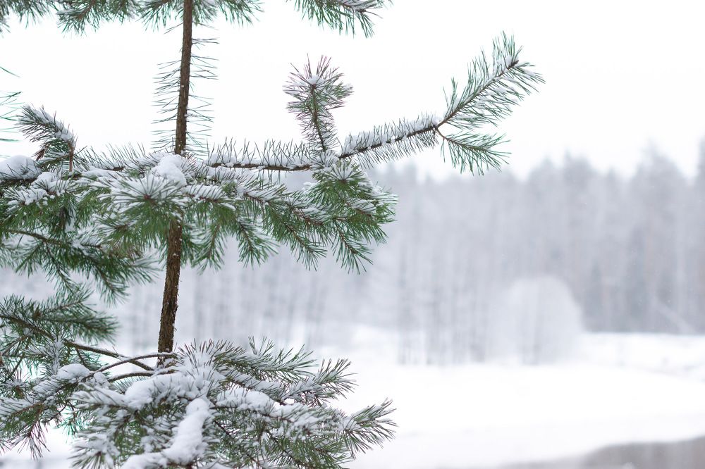 Photograph by Вячеслав