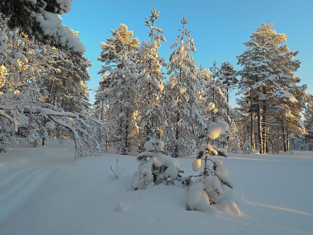 Photograph by Евгений Яковлев