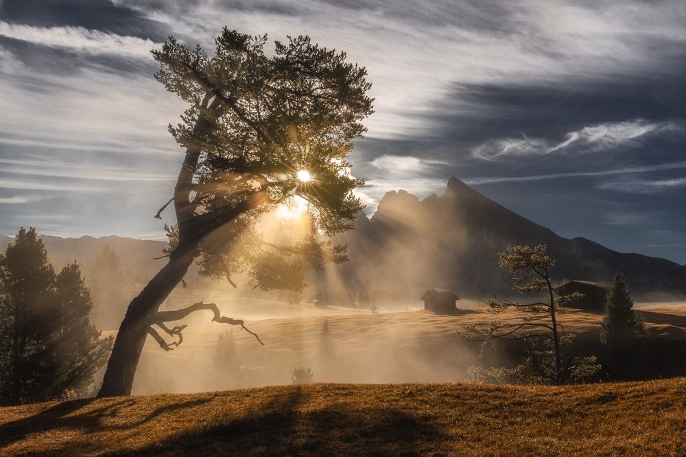 Photograph by Slavi Donev