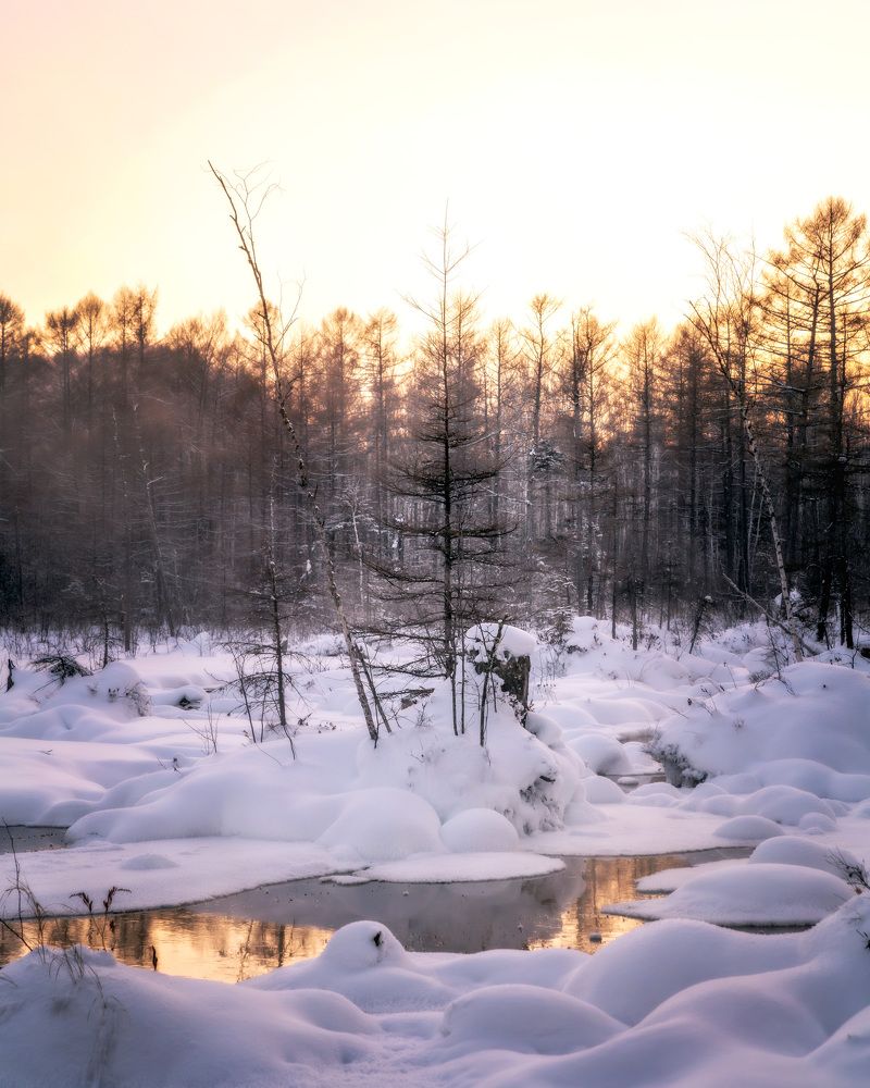 Photograph by Егор Круглов
