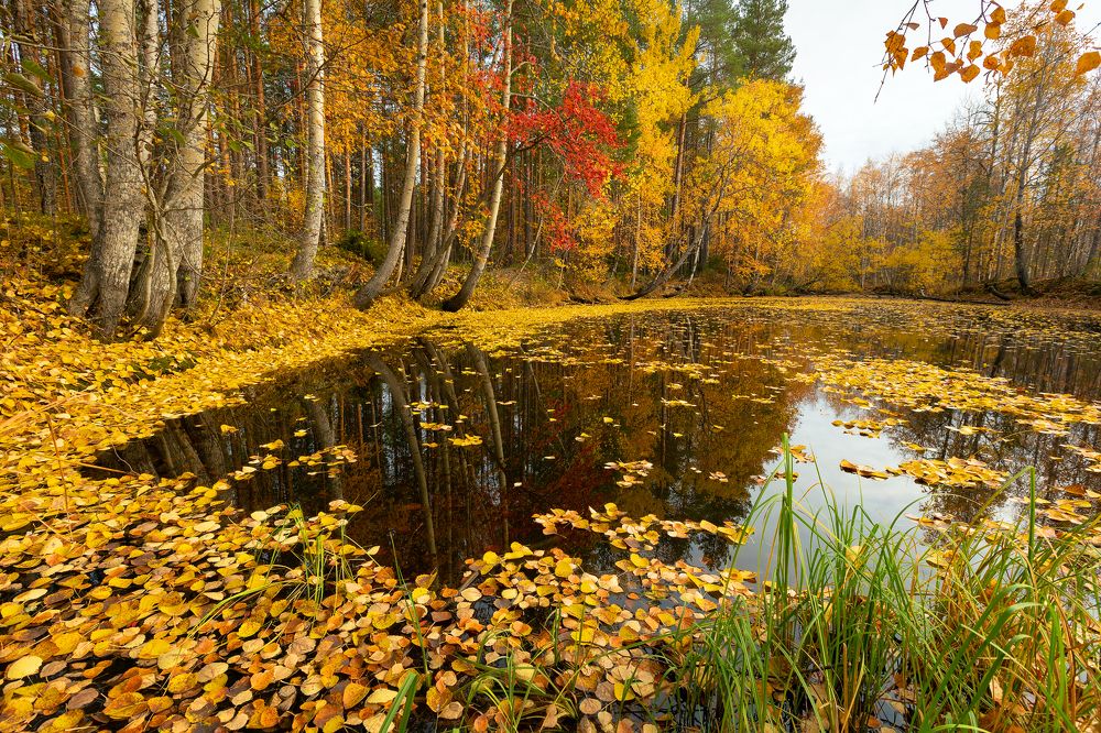 Photograph by Александр Кузнецов