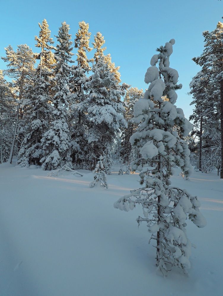 Photograph by Евгений Яковлев