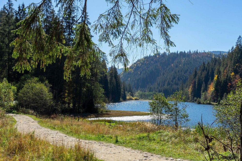 Фотография автора Ирина Зайцева