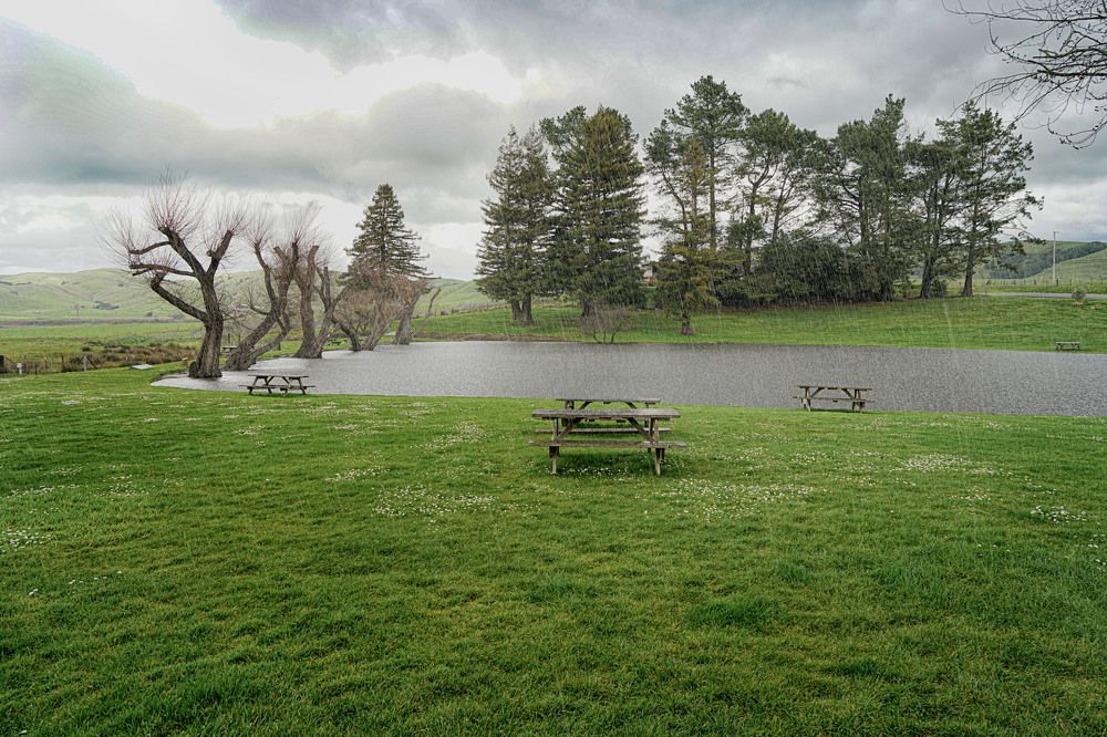 Photograph by Владимир Гречанинов