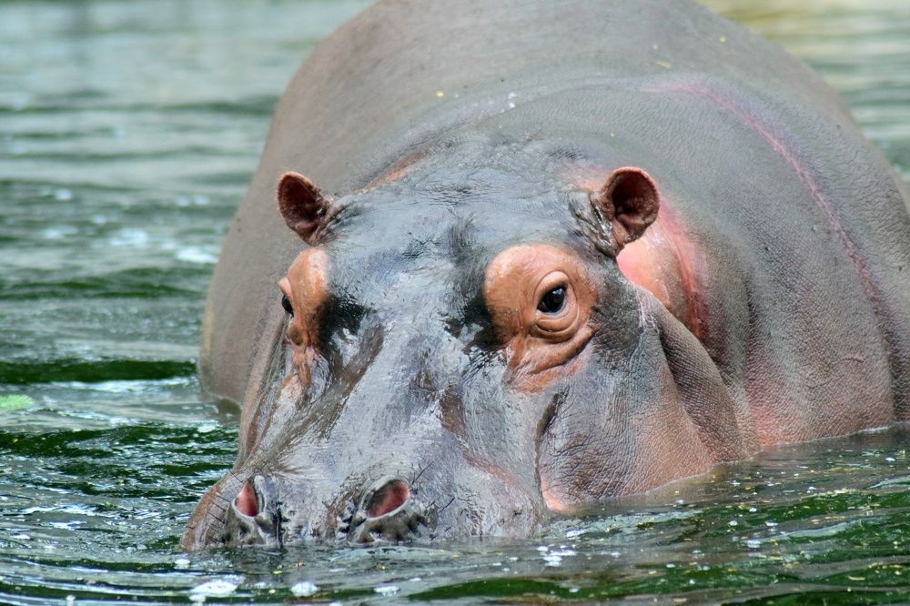 Photograph by Aryan Bhutani