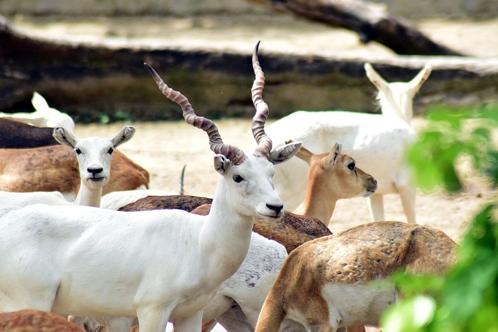 Photograph by Aryan Bhutani