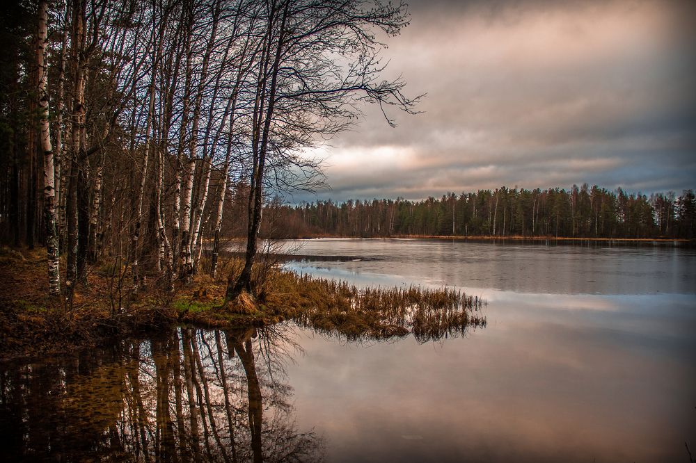 Photograph by Igor Makarov