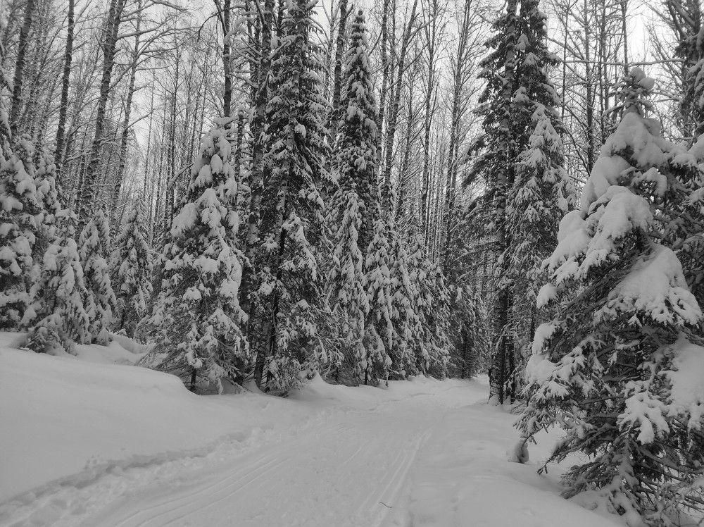 Photograph by Ирина Саттарова