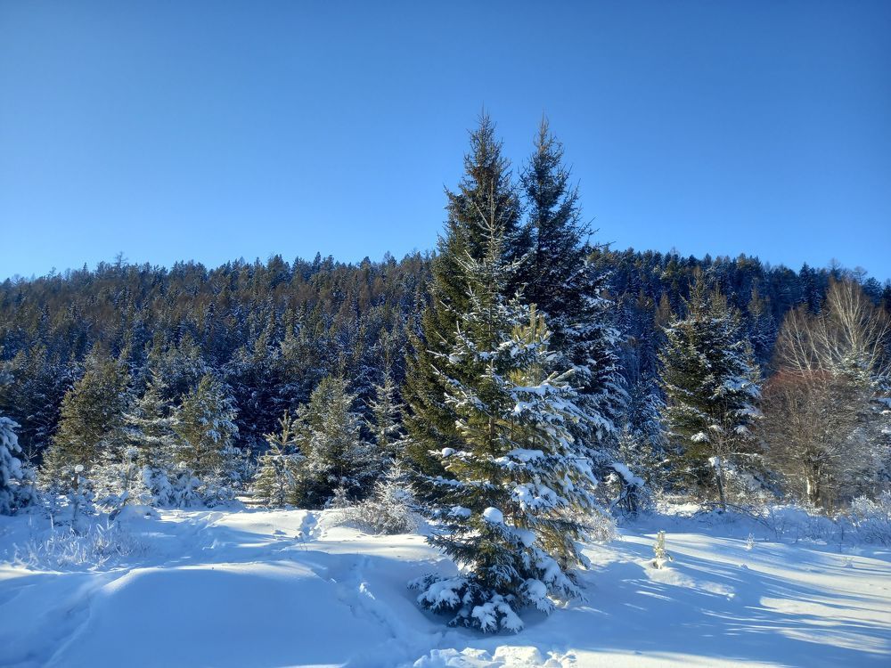 Фотография автора Ирина Бордачева