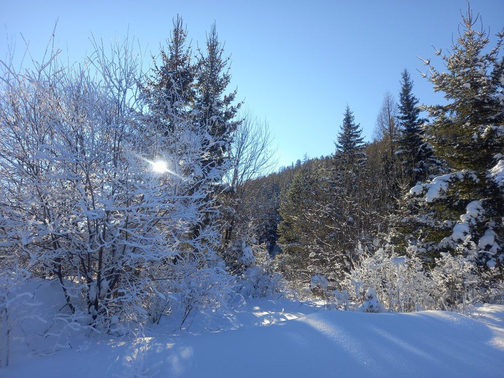 Фотография автора Ирина Бордачева