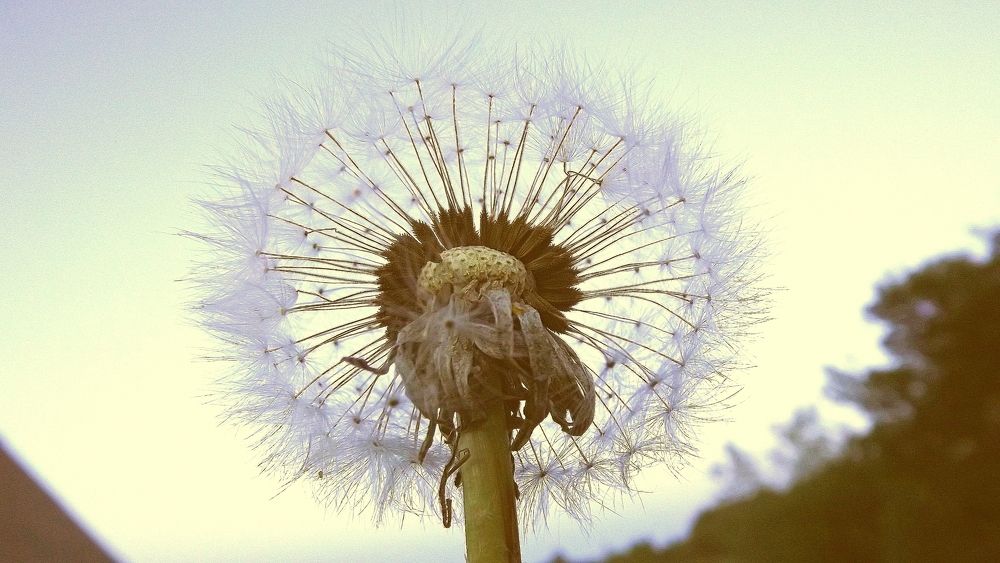 Photograph by Владимир Владимирович