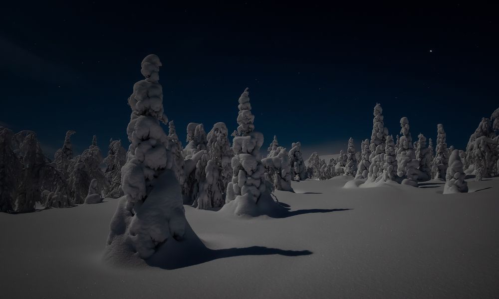 Фотография автора Александр Рудный