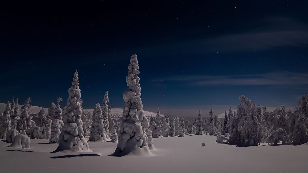 Фотография автора Александр Рудный