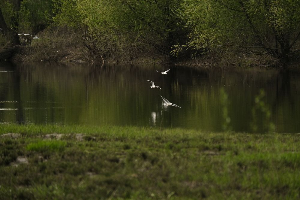 Фотография автора Кирилл Ямов