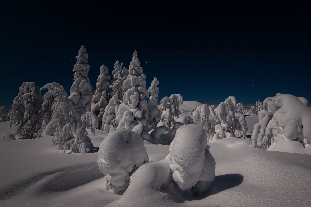 Фотография автора Александр Рудный