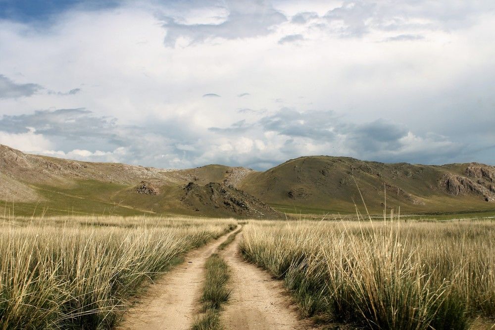 Фотография автора Ирина Бордачева