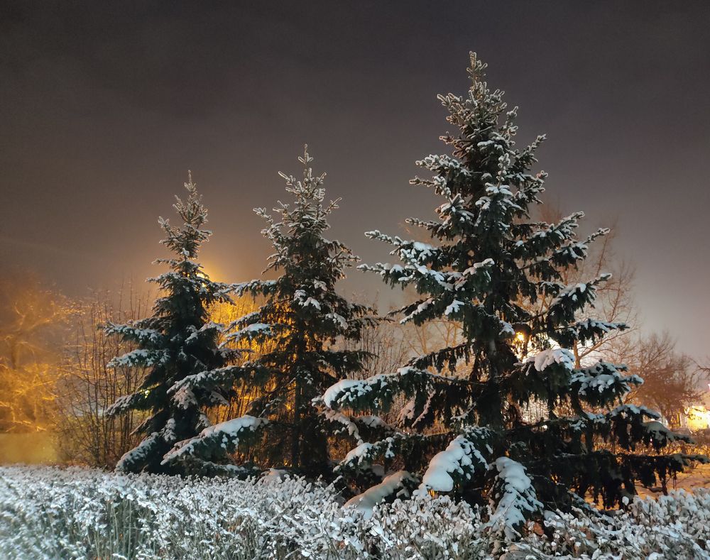 Photograph by МАрина Соловьева