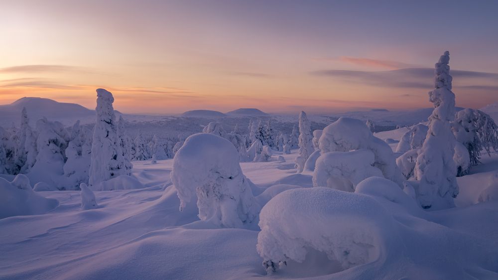 Фотография автора Александр Рудный