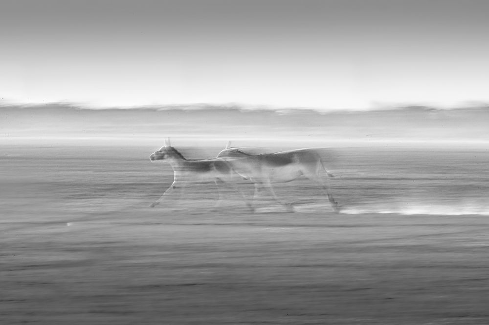 Фотография автора Sudipta Chakraborty