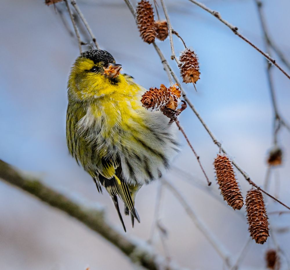Photograph by Курлянцев Алексей
