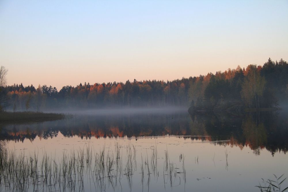 Фотография автора Анастасия Зверева