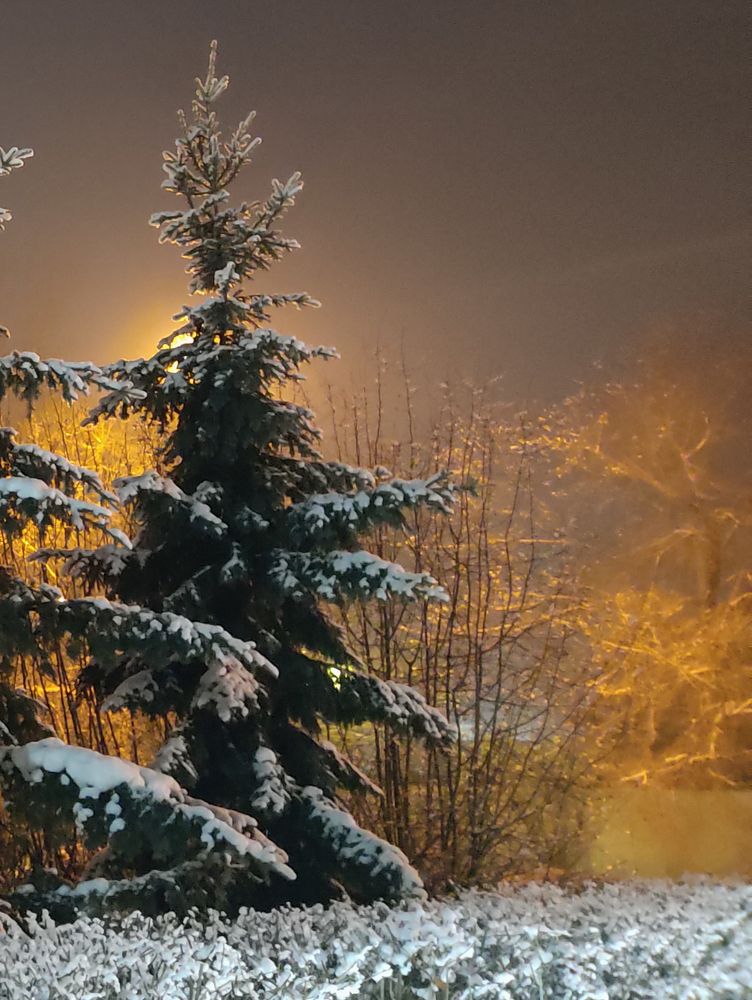 Photograph by МАрина Соловьева