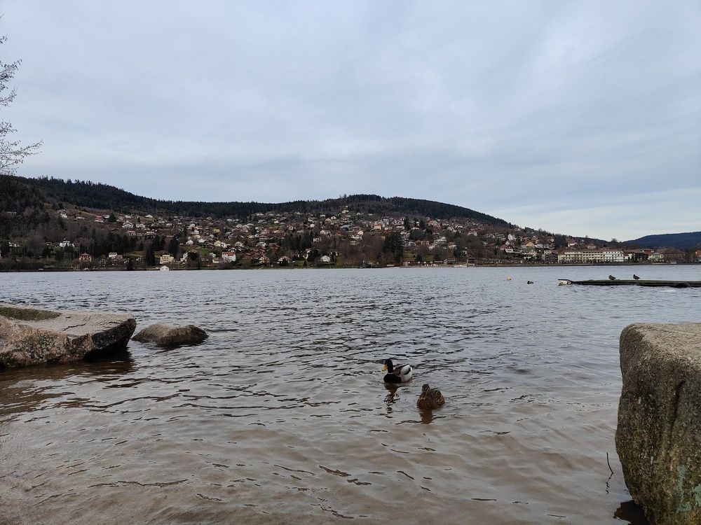 Фотография автора Laura Skwarek