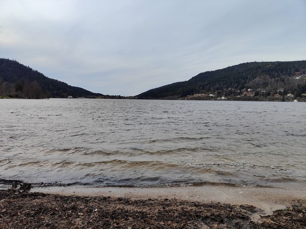 Фотография автора Laura Skwarek