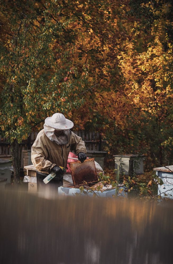 Photograph by Марина Слепова