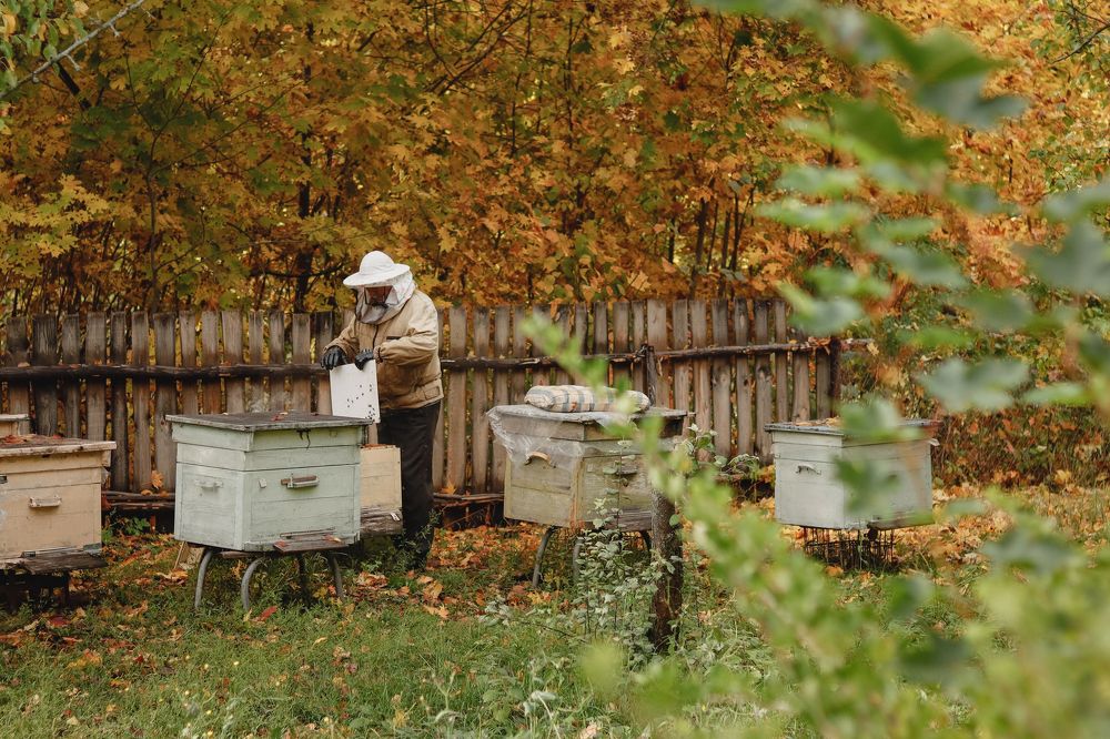 Photograph by Марина Слепова