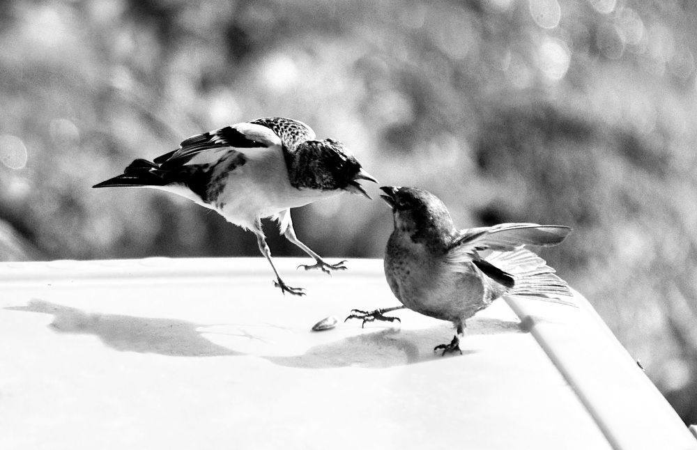 Photograph by Соколова Елена