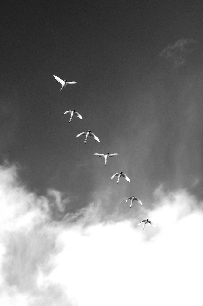 Photograph by Соколова Елена