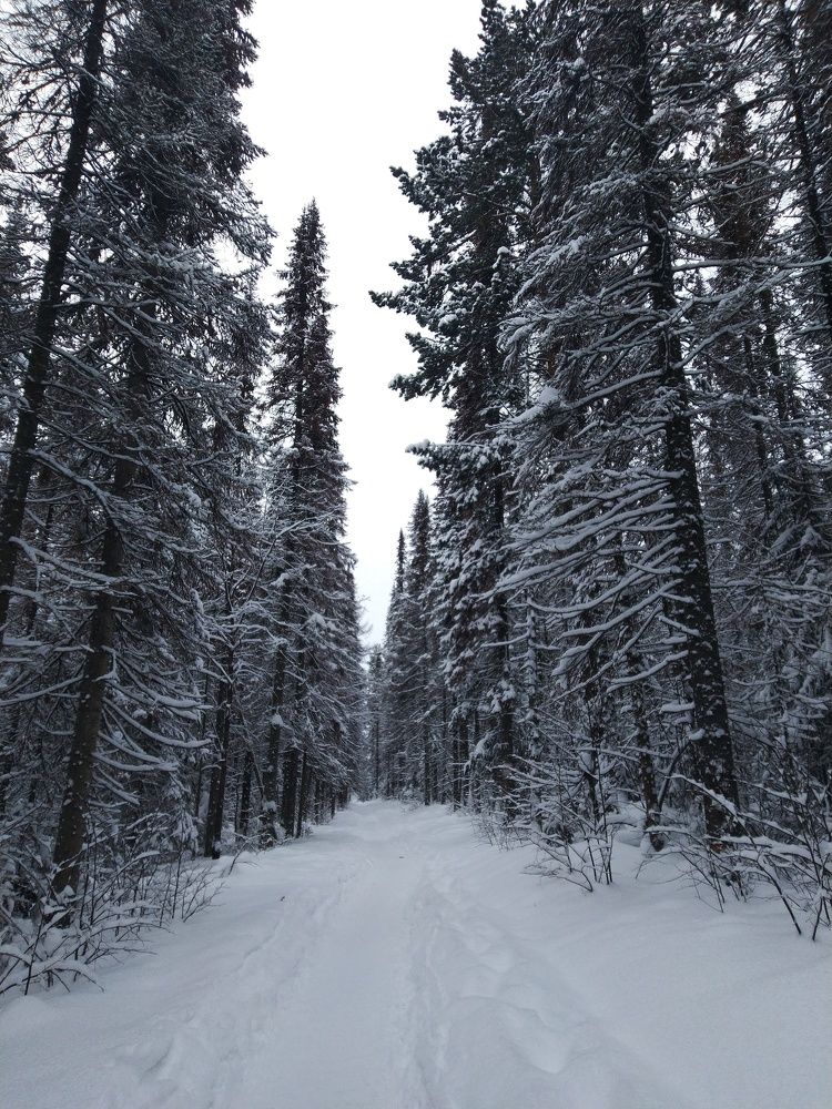 Photograph by Наталья Шулятина