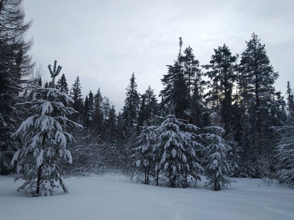 Photograph by Наталья Шулятина