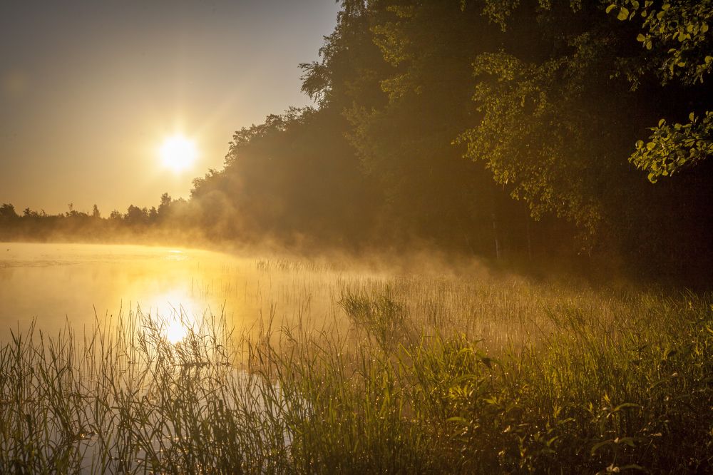 Photograph by Дмитрий Черепков