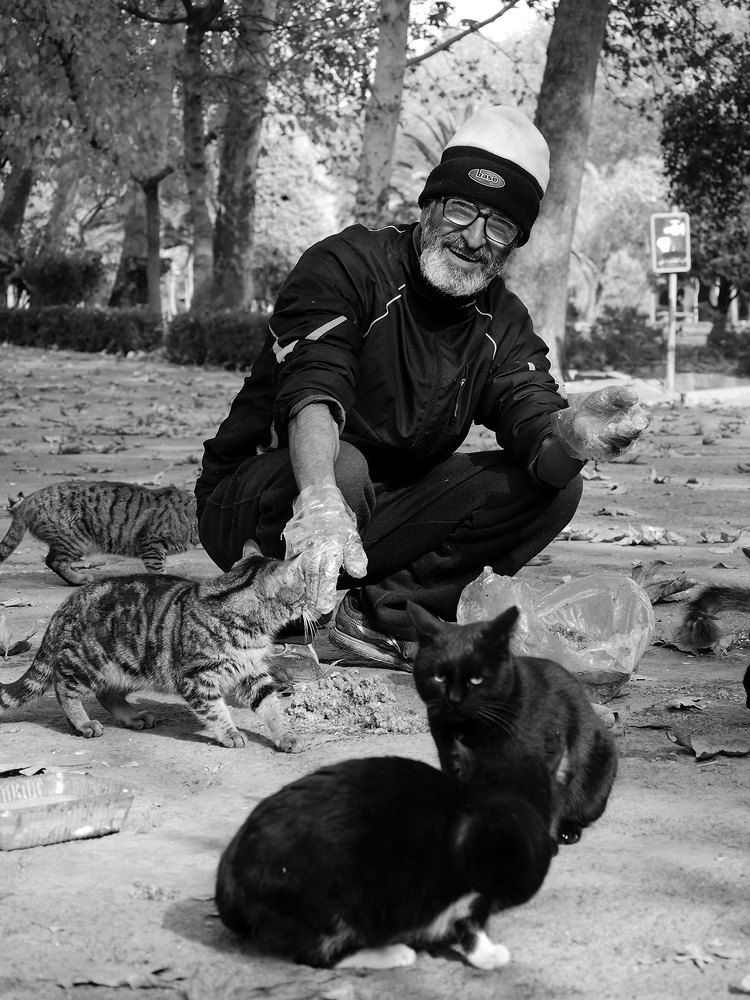 Photograph by Farid Ataei