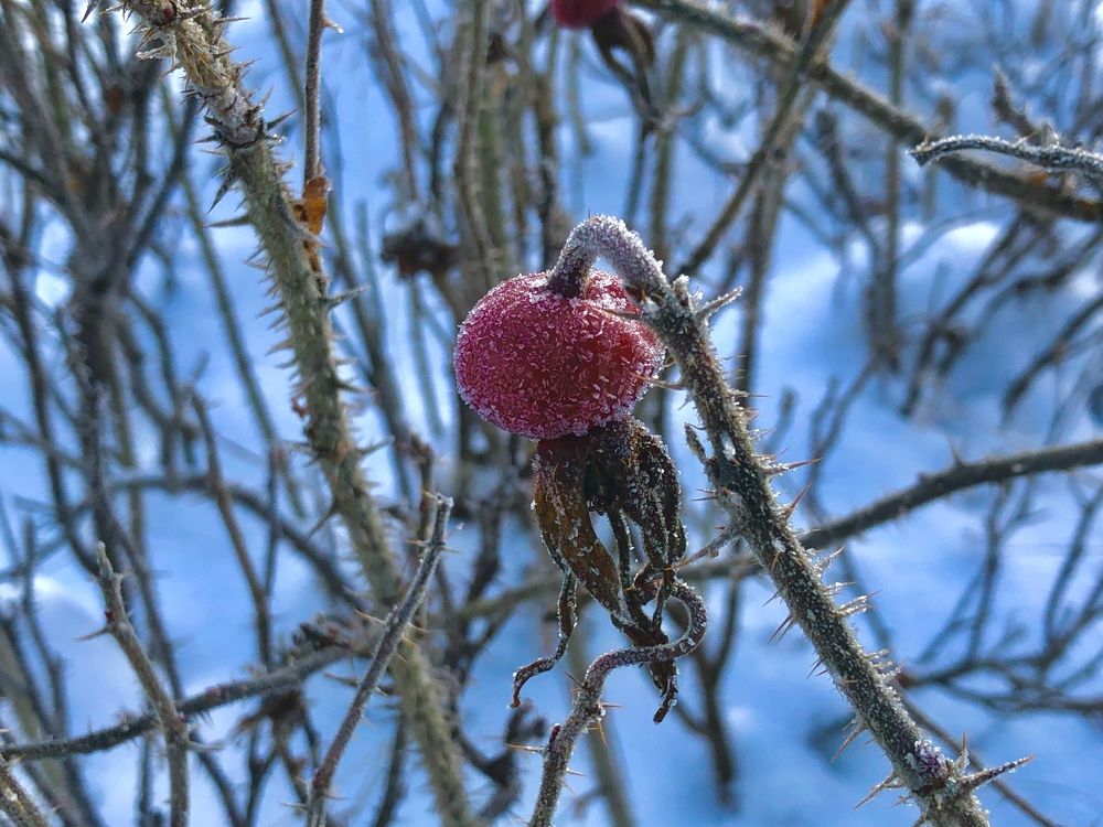 Photograph by Олеся Семёнова