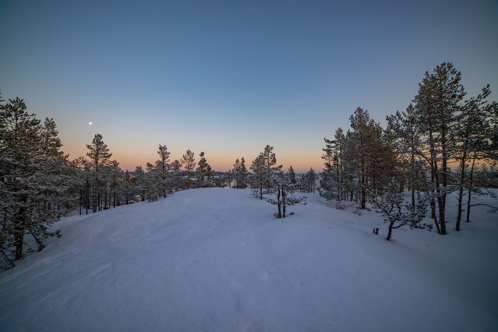 Photograph by Герасимова Елена