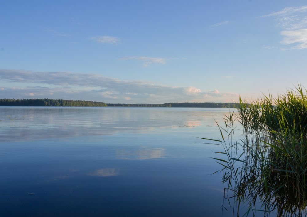 Фотография автора Ольга Бонина