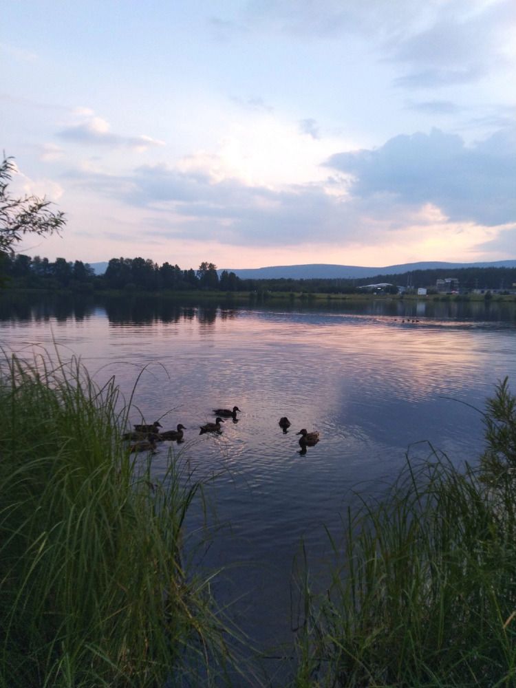 Photograph by Наталья Шулятина