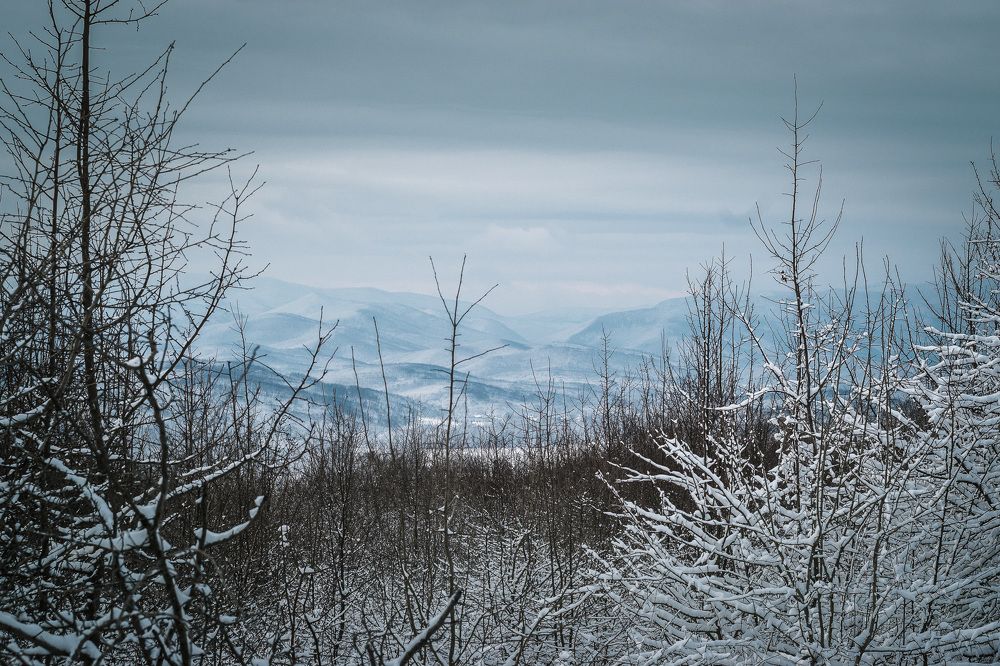 Photograph by Sergey Shulga