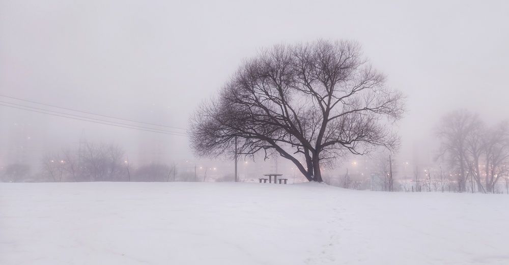 Фотография автора Максим Светличный