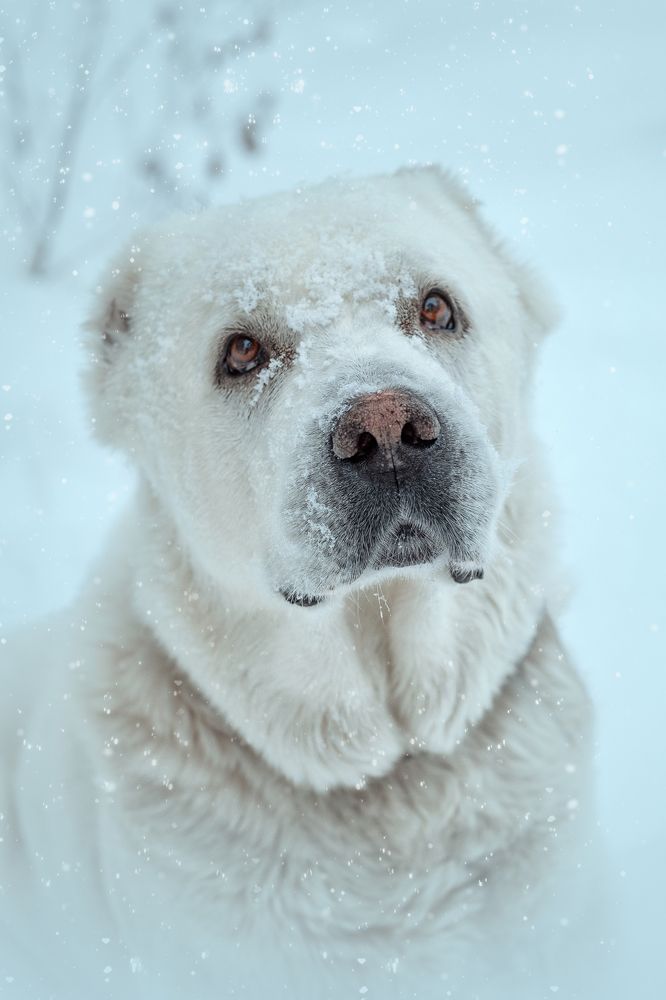 Photograph by Екатерина Шпира