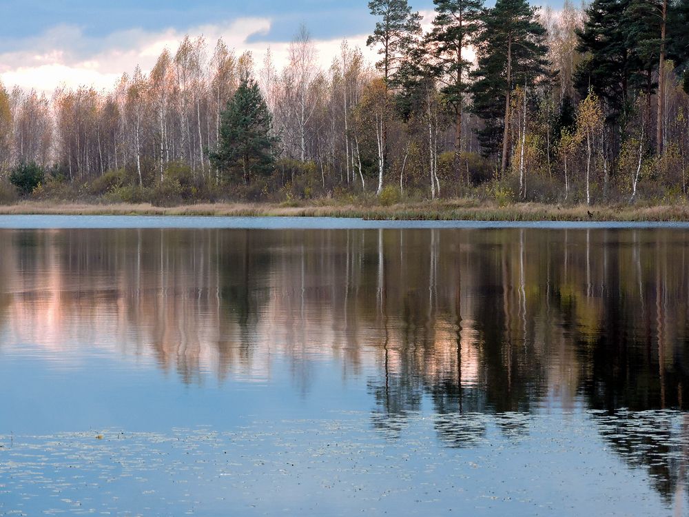 Photograph by Галина Лубянникова