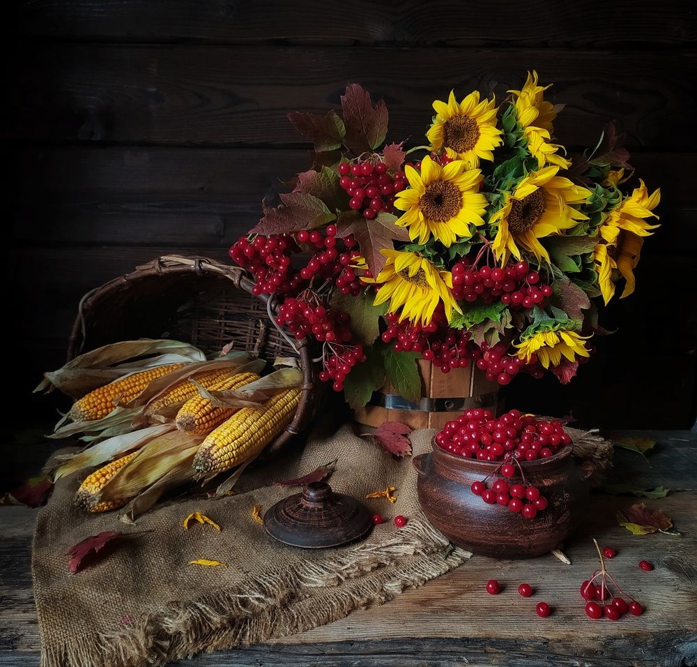 Photograph by Елена Соколова