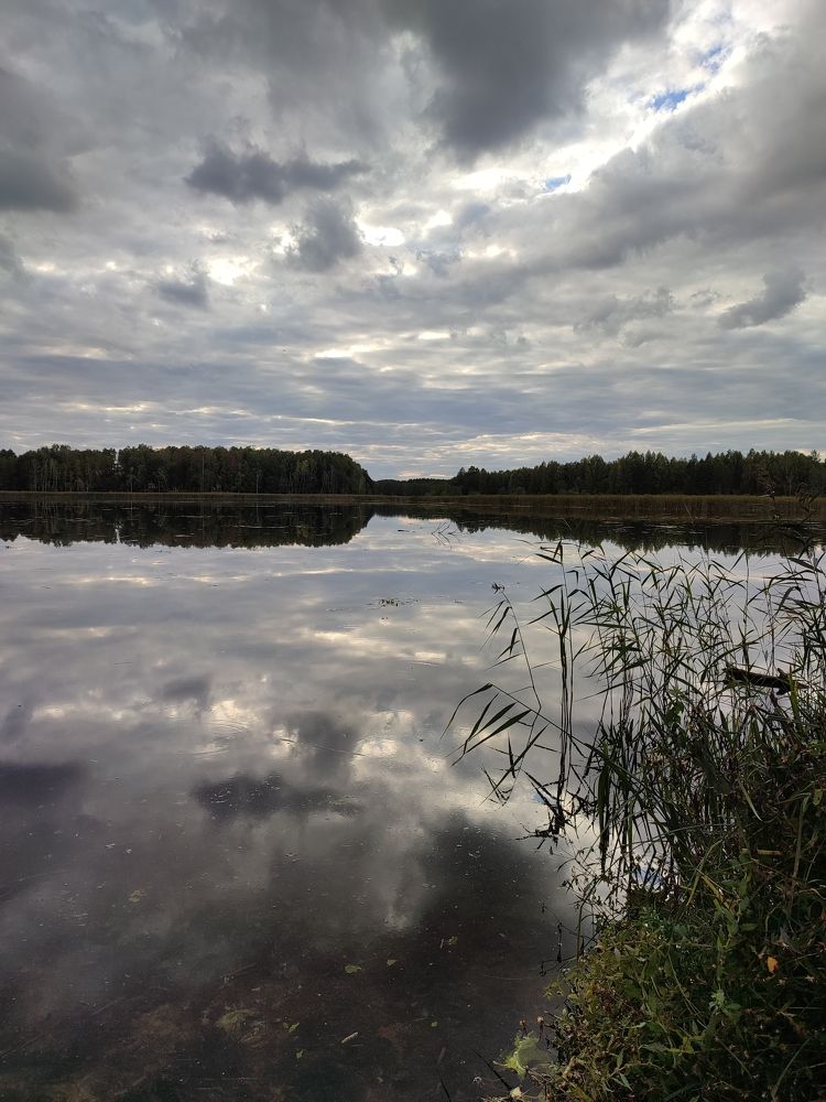 Photograph by Ольга Сучкова