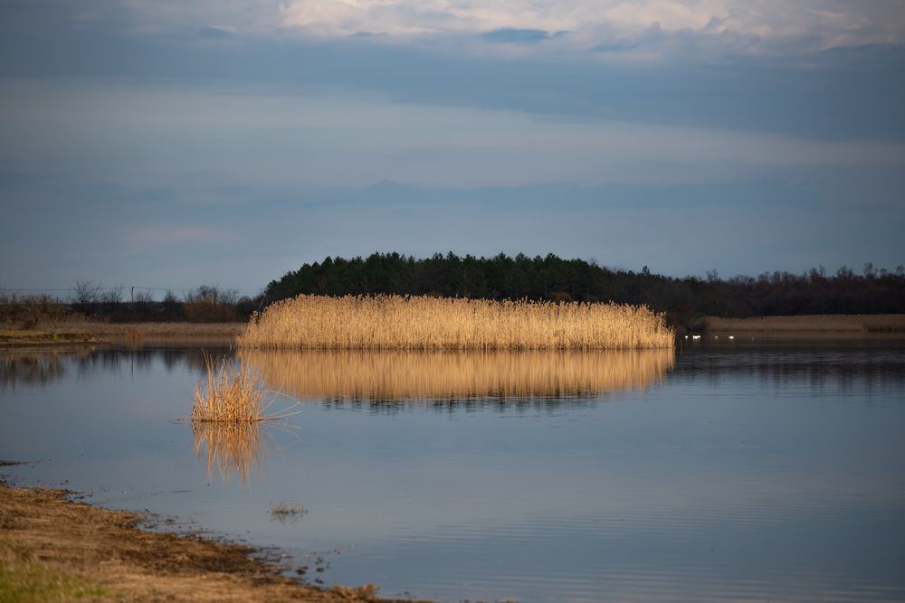 Photograph by Анна Новосельцева