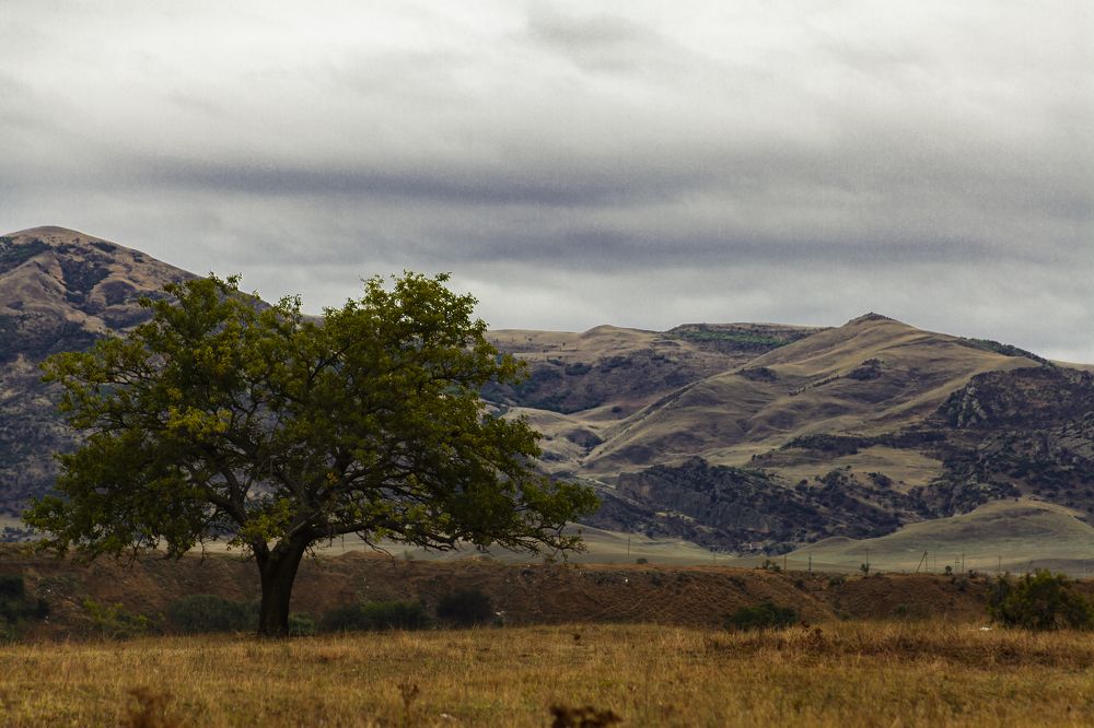 Фотография автора Вадим Лабитов