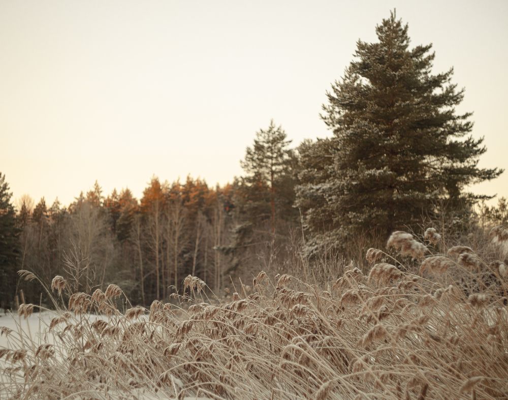 Photograph by Екатерина Колот