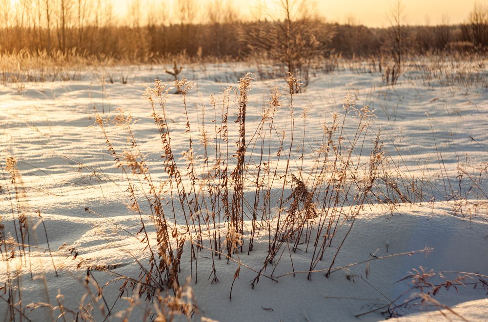 Photograph by Екатерина Колот